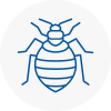 Bed Bug Extermination In Byfleet