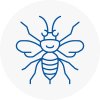 Byfleet Hornet Nest Removals