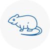 Rat Control Byfleet