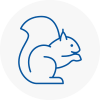 Byfleet Rodent Removals