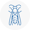 Byfleet Wasp Nest Removal